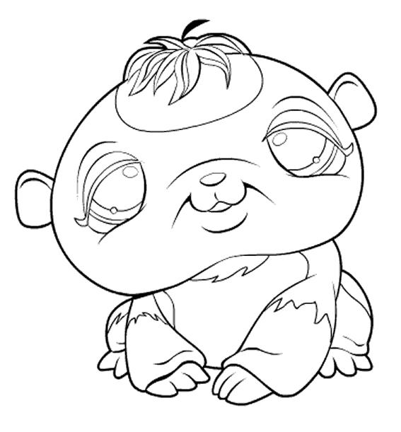 coloriage petshop ourson